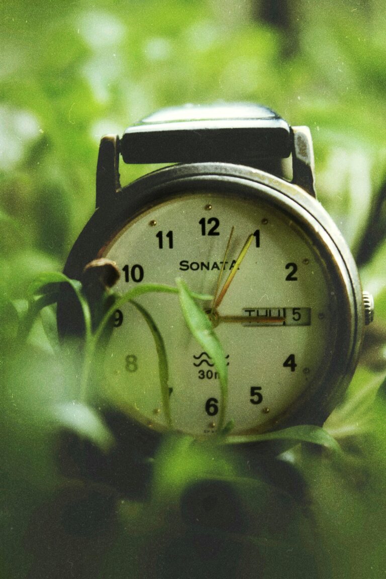 Unlock Ultimate Style: The Top 5 Best Sonata Watches for Men in 2024 That Combine Luxury and Affordability